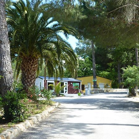 Camping Des Alberes Laroque-des-Albères Εξωτερικό φωτογραφία