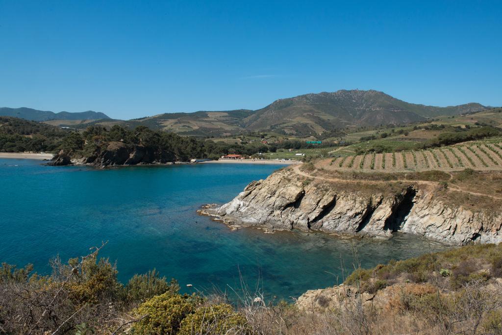 Camping Des Alberes Laroque-des-Albères Εξωτερικό φωτογραφία