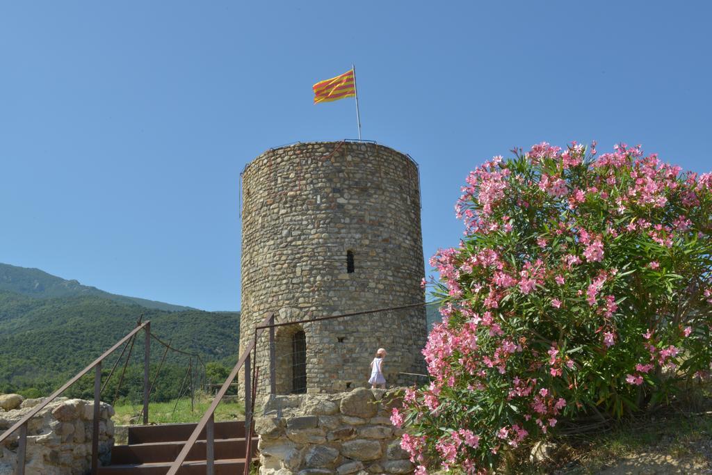 Camping Des Alberes Laroque-des-Albères Εξωτερικό φωτογραφία