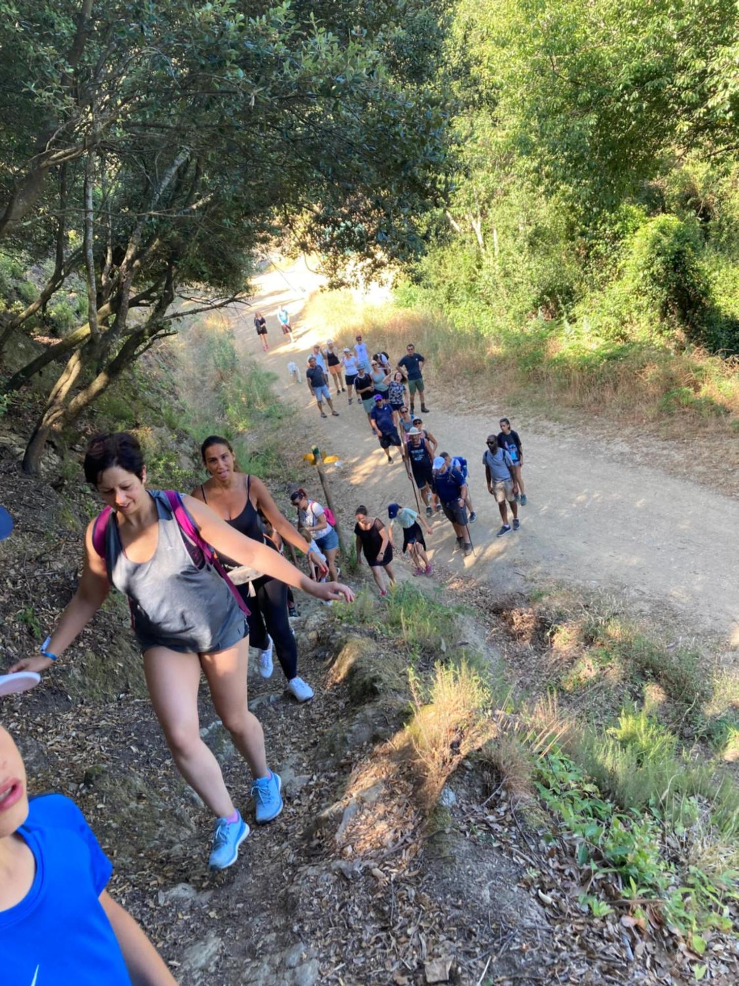 Camping Des Alberes Laroque-des-Albères Εξωτερικό φωτογραφία