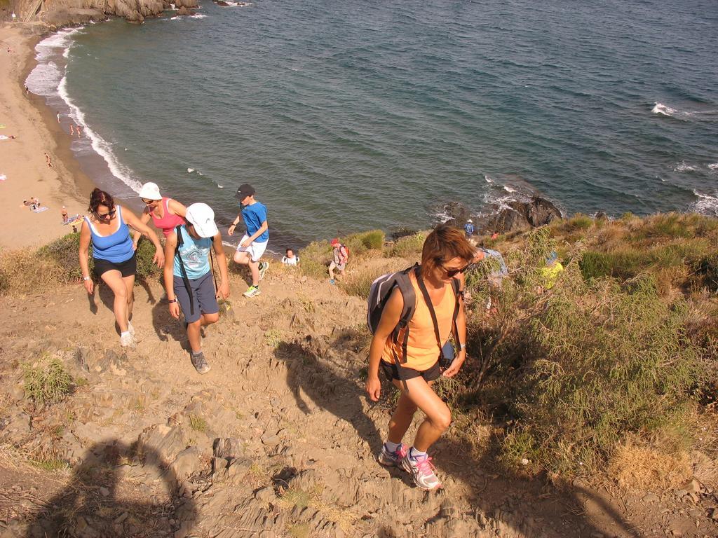 Camping Des Alberes Laroque-des-Albères Εξωτερικό φωτογραφία