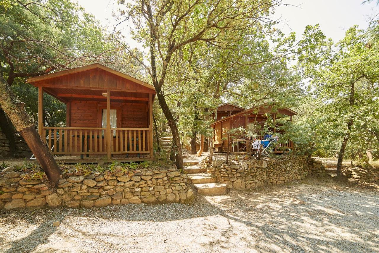 Camping Des Alberes Laroque-des-Albères Εξωτερικό φωτογραφία